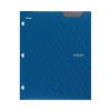 Two-Pocket Stay-Put Plastic Folder, 11 x 8.5, Assorted, 4/Pack2