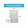 Allergen Defense Air Filter, 20 x 252