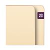 Yearly End Tab File Folder Labels, 23, 0.5 x 1, Purple, 25/Sheet, 10 Sheets/Pack2