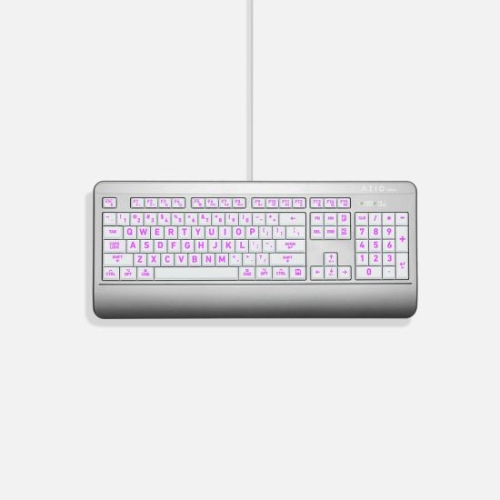 Azio KB540 keyboard USB Silver1