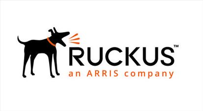 Ruckus Wireless LSR-CLP1-010K software license/upgrade 1 license(s) 1 year(s)1