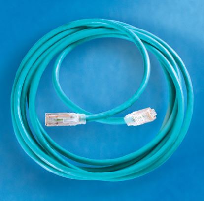 Legrand MC607-06 networking cable Blue 78.7" (2 m) Cat6 U/UTP (UTP)1