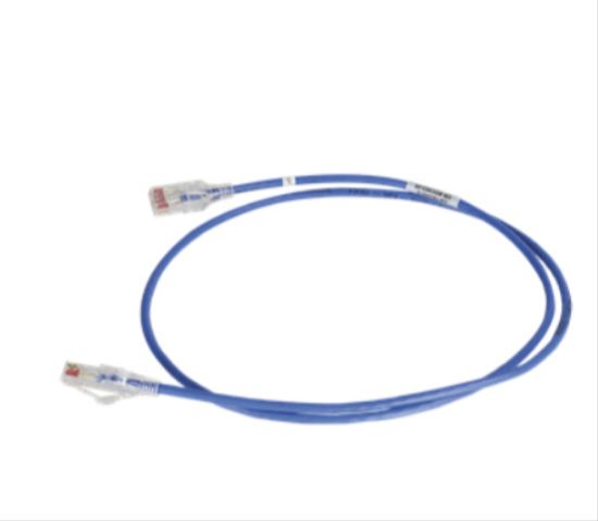 Legrand RDC61025-06 networking cable Blue 300" (7.62 m) Cat6a U/UTP (UTP)1