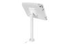 Compulocks Space Rise White Tablet Multimedia stand1