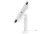 Compulocks Space Rise White Tablet Multimedia stand4