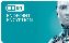 ESET Endpoint Encryption Mobile 100 - 299 User Base license 100 - 299 license(s) 1 year(s)1