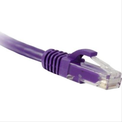 eNet Components C6A-PR-2-ENC networking cable Purple 24" (0.61 m) Cat6a1