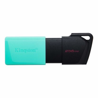 Kingston Technology DataTraveler Exodia M USB flash drive 256 GB USB Type-A 3.2 Gen 1 (3.1 Gen 1) Black, Turquoise1