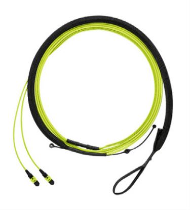 Panduit FWTYL7575KAM009 fiber optic cable 354.3" (9 m) PanMPO OM5+ Lime, Green1