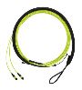 Panduit FWTYL7575KAM021 fiber optic cable 826.8" (21 m) PanMPO OM5+ Lime, Green1