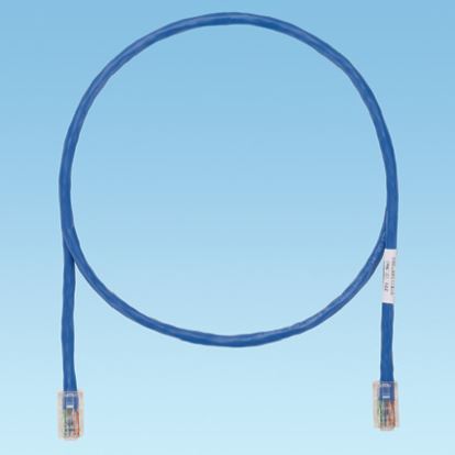 Panduit UTPCH6BUY networking cable Blue 72" (1.83 m) Cat5e1