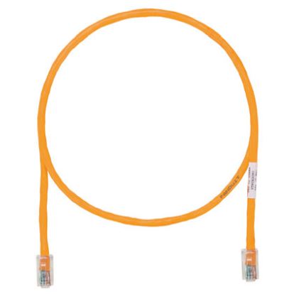 Panduit Cat5e UTP RJ-45 networking cable Orange 196.9" (5 m) U/UTP (UTP)1