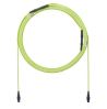 Panduit FWTYL7575KAM033 fiber optic cable 1299.2" (33 m) PanMPO OM5 Green, Lime1