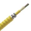 Panduit FSPP972Y fiber optic cable OFCP OS2 Yellow1