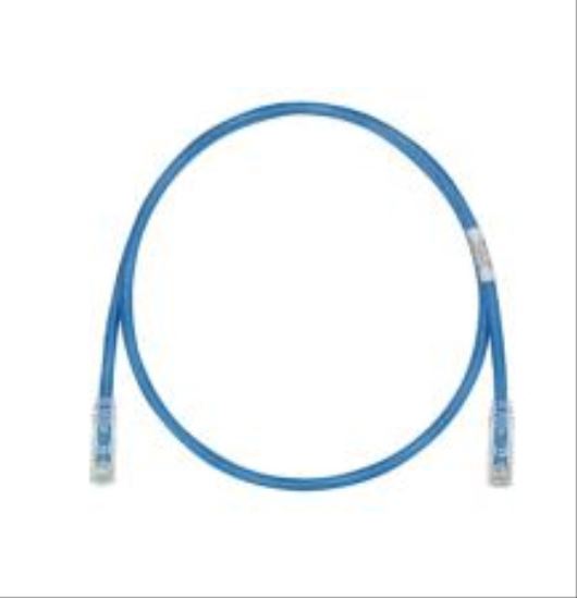 Panduit 35ft. Cat6 UTP networking cable Blue 420.1" (10.7 m) U/UTP (UTP)1