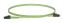 Panduit FW2ERLNLNSNM8.5 fiber optic cable 334.6" (8.5 m) LC OFNR OM5 Lime, Green1