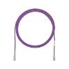 Panduit Cat6, 1ft networking cable Violet 11.8" (0.3 m) U/UTP (UTP)1