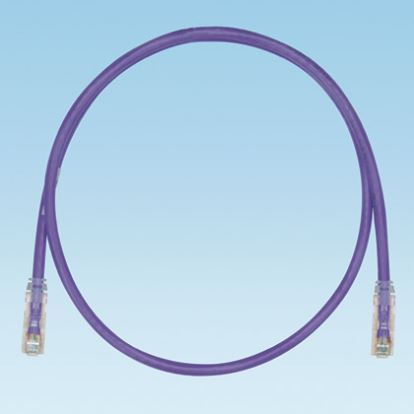 Panduit UTPSP2MVLY networking cable Violet 78.7" (2 m) Cat61