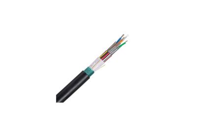 Panduit FSWN606 fiber optic cable OM1 Black1