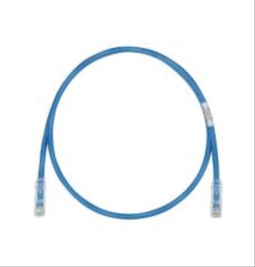 Panduit 30ft. Cat6 UTP networking cable Blue 359.8" (9.14 m) U/UTP (UTP)1