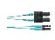 Panduit FX2ELQ1SNSNM041 fiber optic cable 1614.2" (41 m) LC SC OM3 Aqua color1