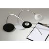 Alba Desk Lamp7