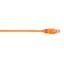 Black Box Connect Cat.6 UTP Patch Network Cable1