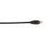 Black Box Connect Cat.6 UTP Patch Network Cable 1