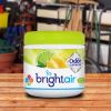 Bright Air Zesty Lemon Super Odor Eliminator3