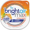 Bright Air Max Scented Gel Odor Eliminator2