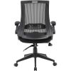 Boss Mesh Back, Flip Arm Task Chair3