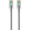 Belkin Cat5e Patch Cable3