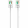 Belkin Cat5e Patch Cable4