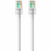 Belkin Cat5e Patch Cable4