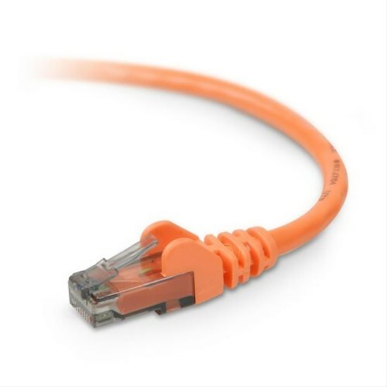 Belkin Cat. 6 Patch Cable1