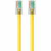 Belkin Cat.6 Patch Cable3