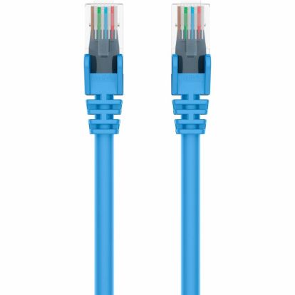 Belkin Cat6 Cable1