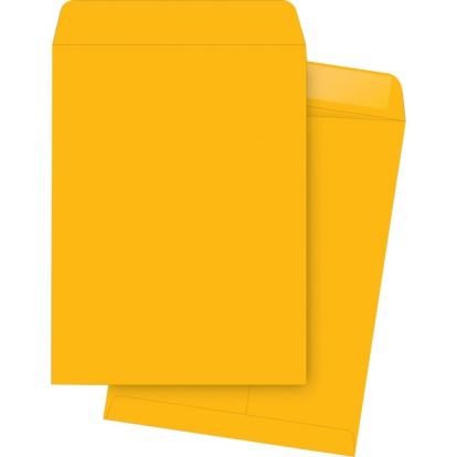 Business Source Kraft Gummed Catalog Envelopes1