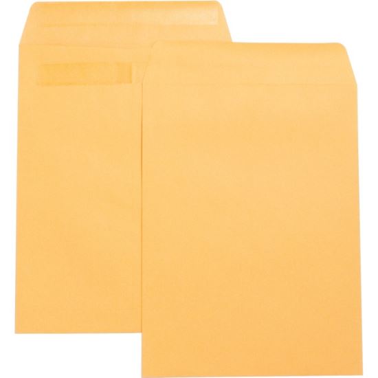 Business Source Press-To-Seal Catalog Envelopes1