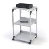 DURABLE System Overhead/Beamer Trolley2