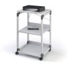 DURABLE System Overhead/Beamer Trolley10
