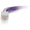 C2G 1 ft Cat6 Non Booted UTP Unshielded Network Patch Cable - Purple2