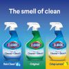 Clorox Clean-Up All Purpose Cleaner with Bleach2