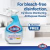 Clorox Clean-Up All Purpose Cleaner with Bleach3