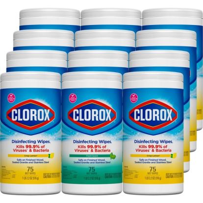 Clorox Disinfecting Wipes Value Pack, Bleach-Free Cleaning Wipes1