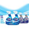 Clorox Disinfecting Bathroom Foamer with Bleach - Original11