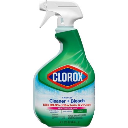 Clorox Clean-Up All Purpose Cleaner with Bleach1