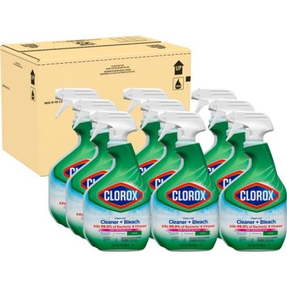 Clorox Clean-Up All Purpose Cleaner with Bleach1