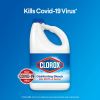 Clorox Disinfecting Bleach5