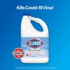 Clorox Germicidal Bleach5